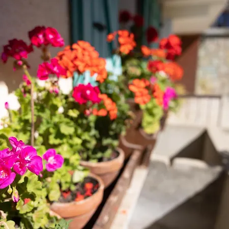La Rose Des Vents N 1 Appartamento *